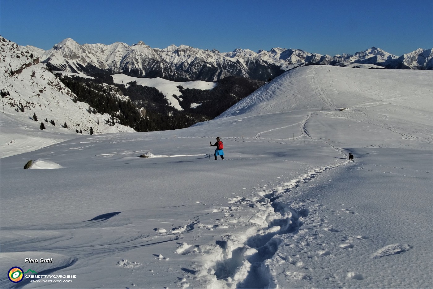 39 Ci abbassiamo pestando neve intatta.JPG